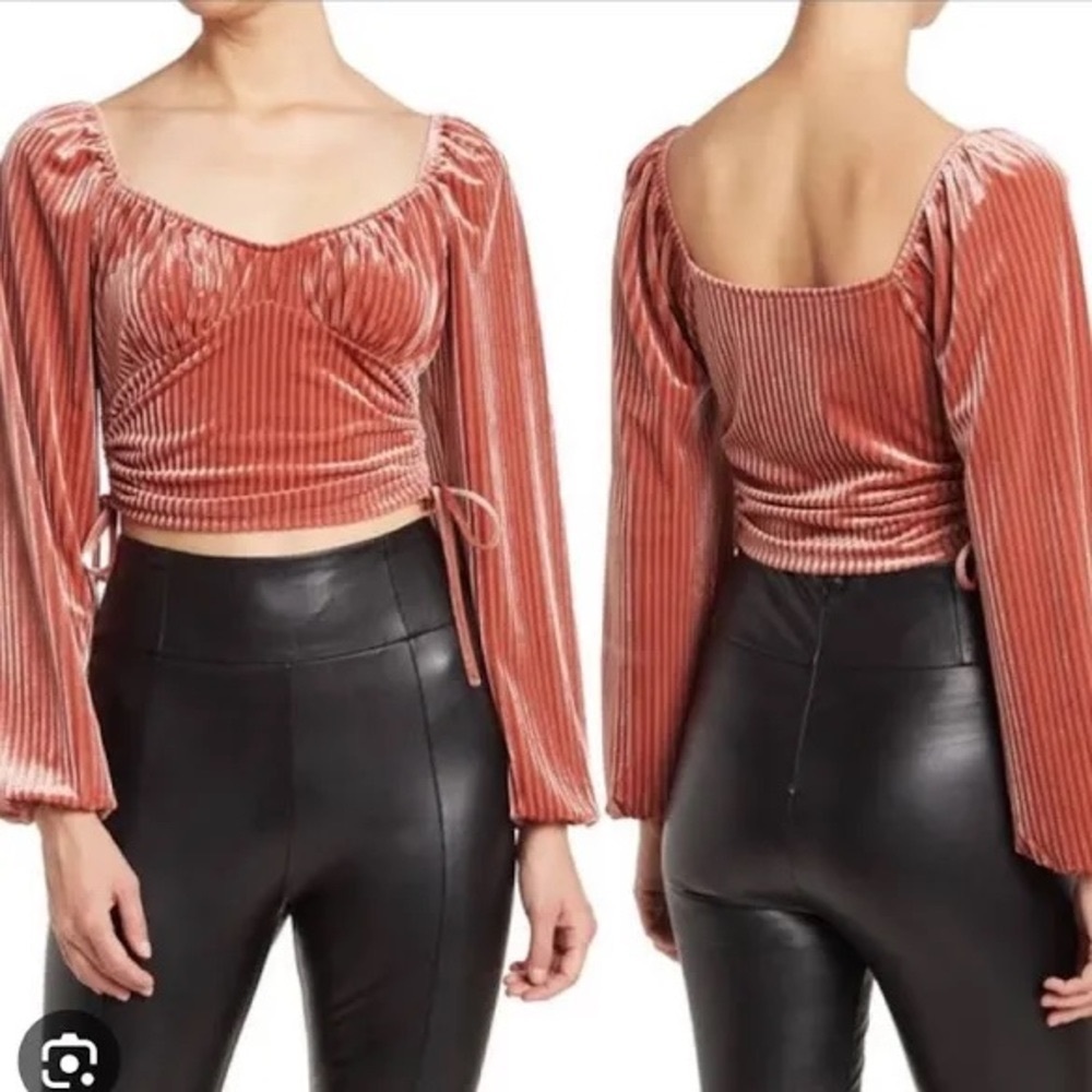 Velvet Long Sleeve Crop Top Mauve Size M